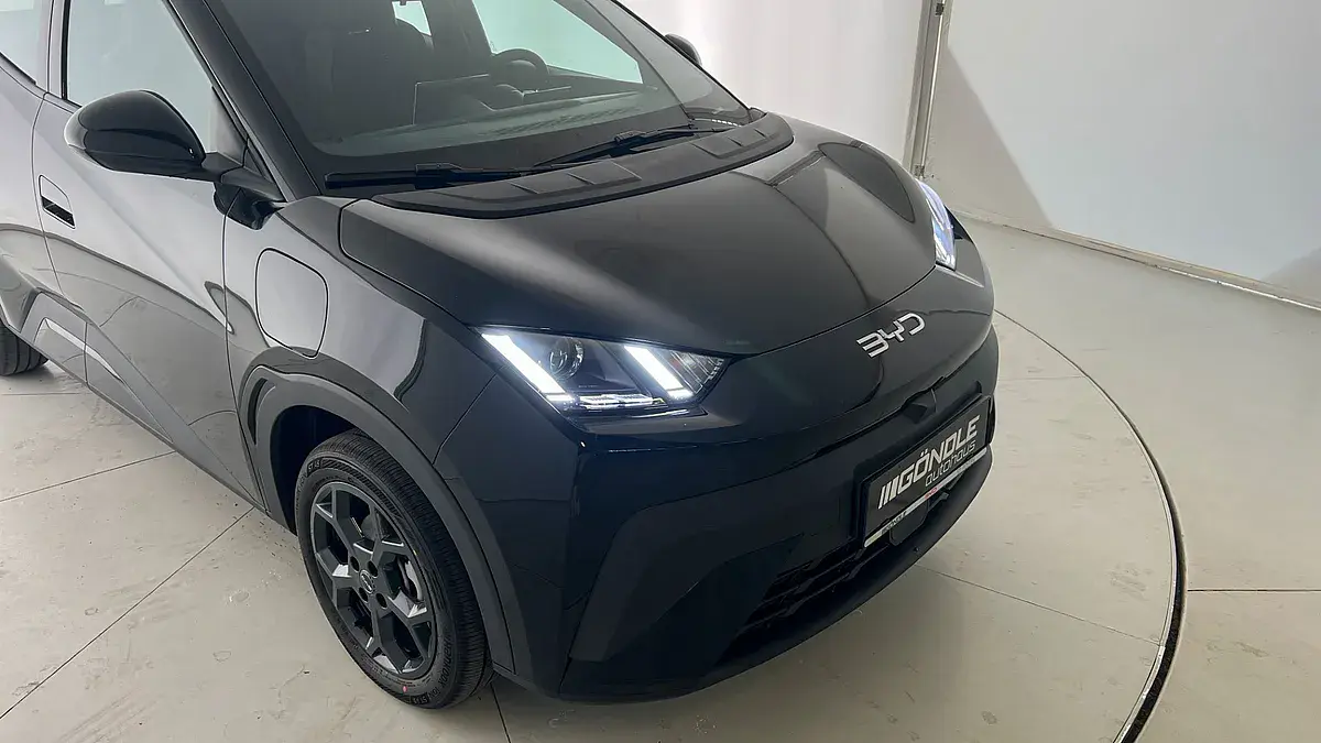 Bild 6 - BYD Dolphin Surf Boost Ö-Paket