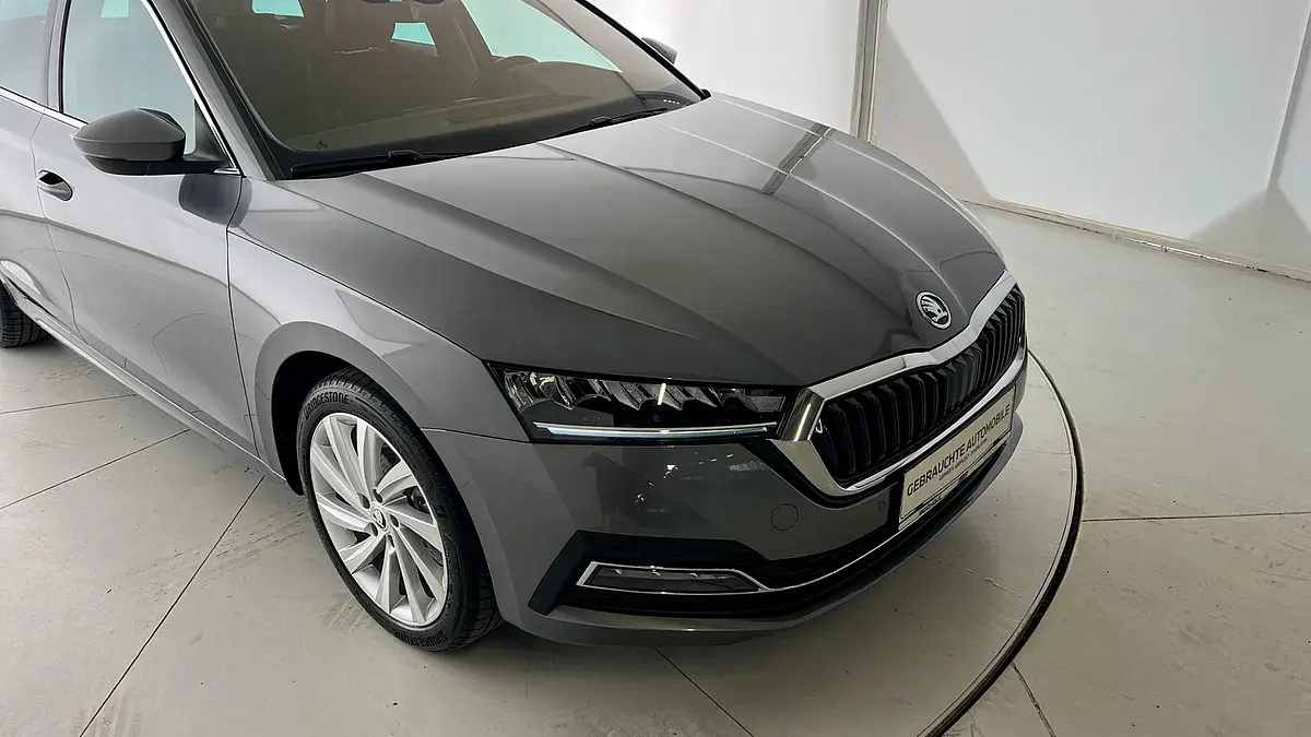 Bild 18 - Skoda Octavia Combi 2,0 TDI Style DSG