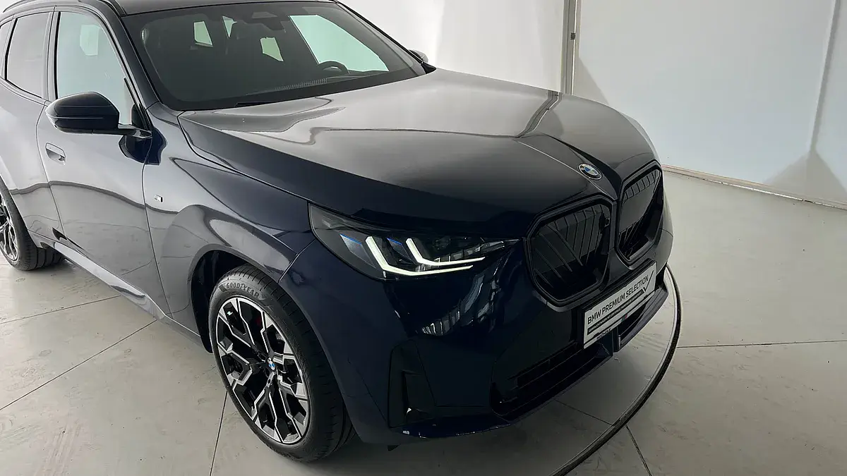 Bild 19 - BMW X3 xDrive30e